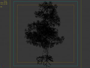 hundred forests-plants-acacia 04 3D Model