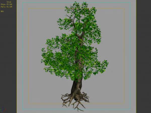 hundred forests-plants-acacia 04 3D Model