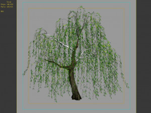 hundred forests-plants-willow 01 3D Model