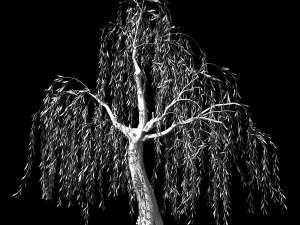hundred forests-plants-willow 02 3D Model