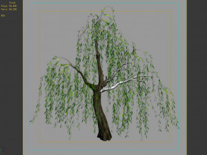 hundred forests-plants-willow 02 3D Model