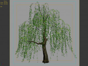 hundred forests-plants-willow 03 3D Model