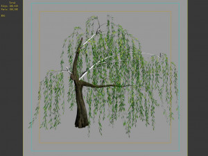 hundred forests-plants-willow 04 3D मॉडल