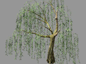 honderd bossen-planten-wilg 05 3D Model