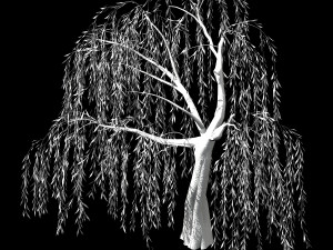 hundred forests-plants-willow 05 Modelo 3D