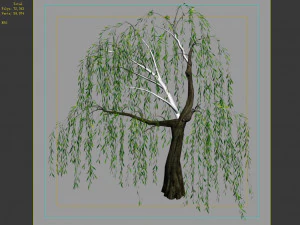 hundred forests-plants-willow 05 3D Model