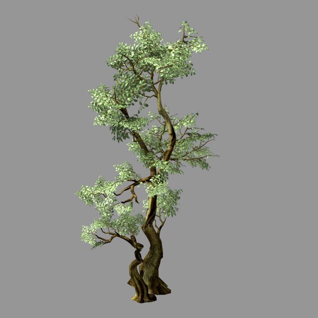 hundred forests-plants-banyan 01 3D Model .c4d .max .obj .3ds .fbx .stl .blend 