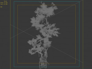 hundred forests-plants-banyan 01 3D Model