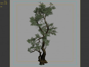 hundred forests-plants-banyan 01 3D Model