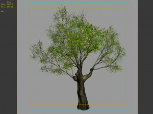 hundred forests-plants-sui di tree 01 3D Model