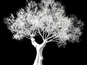 hundred forests-plants-sui di tree 02 Modèle 3D
