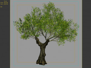 hundred forests-plants-sui di tree 02 Modèle 3D