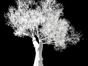hundred forests-plants-sui di tree 03 Modelo 3D
