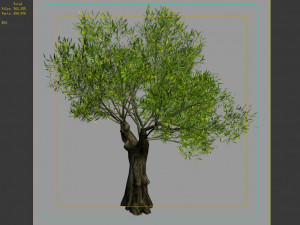 hundred forests-plants-sui di tree 03 Modelo 3D