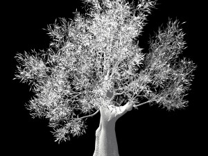 hundred forests-plants-sui di tree 04 3D मॉडल