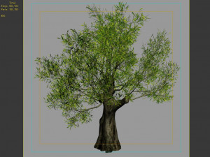 hundred forests-plants-sui di tree 04 3D मॉडल