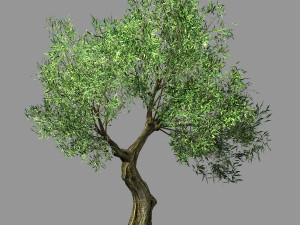 hundred forests-plants-sui di tree 05 Modelo 3D