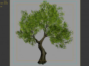 hundred forests-plants-sui di tree 05 3D मॉडल