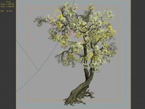hundred forests-plants-apricot tree 04 3D Model