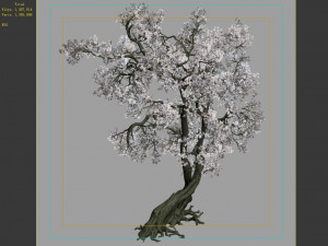 hundred forests-plants-apricot tree 05 3D Model