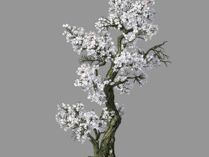 hundred forests-plants-apricot tree 06 3D Модель