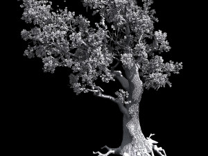 hundred forests-plants-elm 01 3D Model