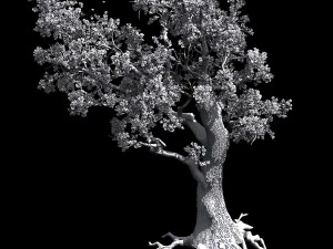 hundred forests-plants-elm 01 3D Model