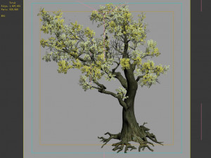 hundred forests-plants-elm 01 3D Model