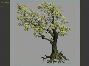 hundred forests-plants-elm 01 3D Model