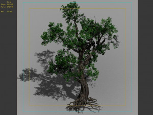 hundred forests-plants-elm 02 Modelo 3D