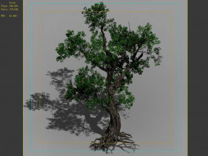 hundred forests-plants-elm 02 3D Model
