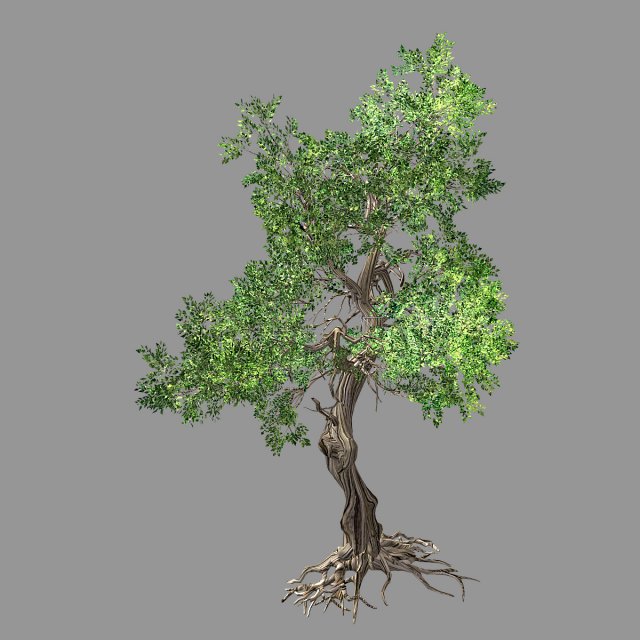 hundred forests-plants-elm 03 3D Model .c4d .max .obj .3ds .fbx .stl .blend 