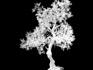 hundred forests-plants-elm 03 3D Model