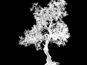 hundred forests-plants-elm 03 3D Model