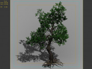 hundred forests-plants-elm 03 3D Model