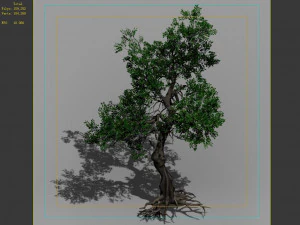 hundred forests-plants-elm 03 3D Model