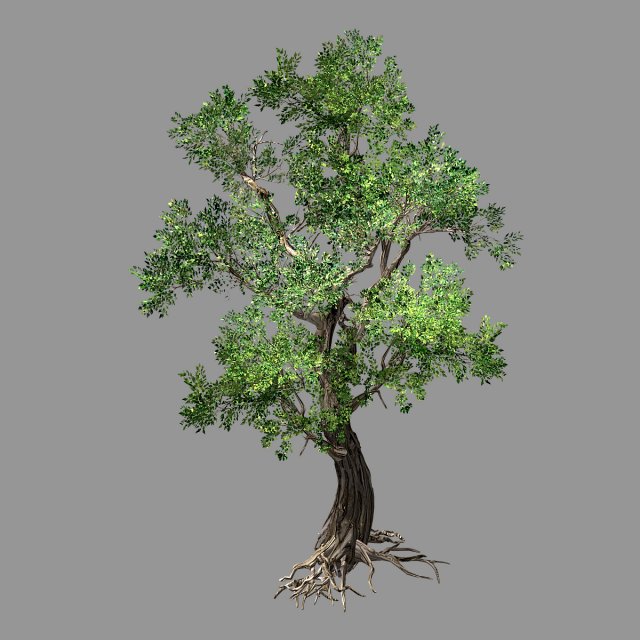 hundred forests-plants-elm 04 3D 모델 .c4d .max .obj .3ds .fbx .stl .blend 