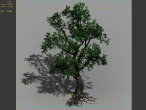 hundred forests-plants-elm 04 3D 모델
