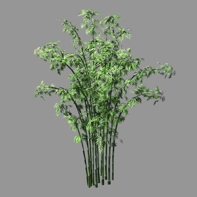 hundred forests-plants-bamboo 01 3D Model .c4d .max .obj .3ds .fbx .stl .blend