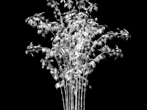 hundred forests-plants-bamboo 01 3D Model