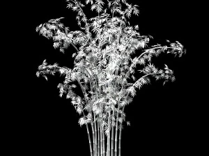 hundred forests-plants-bamboo 01 3D Model