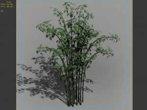 hundred forests-plants-bamboo 01 3D Model
