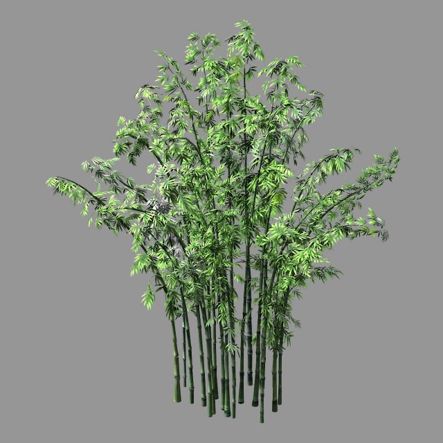 hundred forests-plants-bamboo 02 Modèle 3D .c4d .max .obj .3ds .fbx .stl .blend 