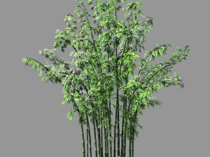 hundred forests-plants-bamboo 02 Modelo 3D