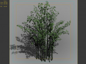 hundred forests-plants-bamboo 02 Modèle 3D