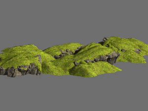prati-vegetazione-erba e roccia 05 Modello 3D