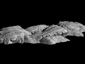 grassland-vegetation-grass and rock 05 3D Model