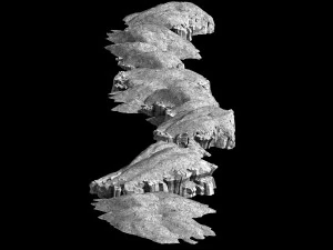 grassland-vegetation-grass and rock 08 3D Model
