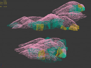 grassland-vegetation-grass and rock 09 3D Model