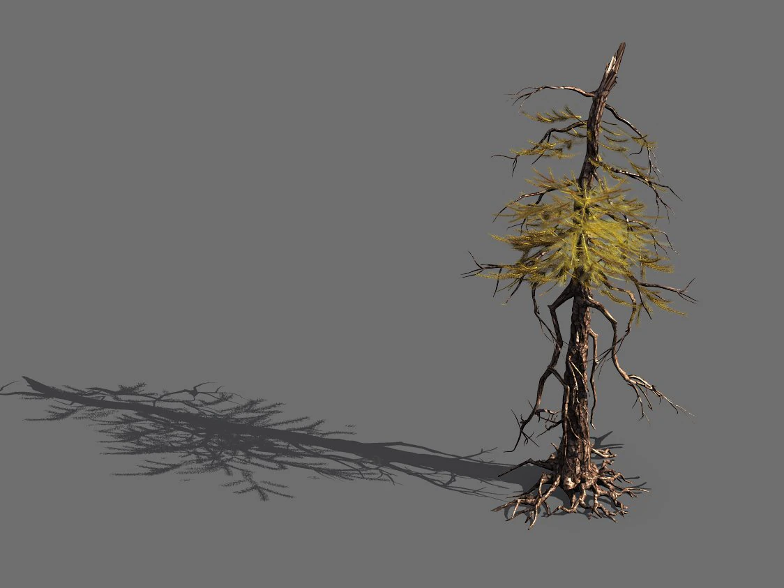 branches-different scales-large fruit-spruce 01 3D Model .c4d .max .obj .3ds .fbx .stl .blend
